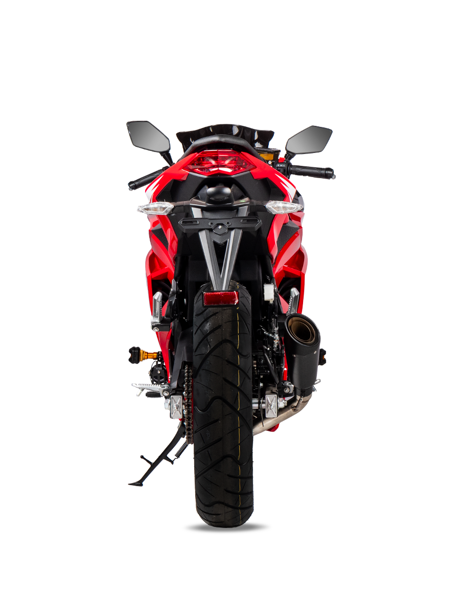 R6 - Imagen 3