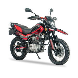 WORKMAN 150 V2