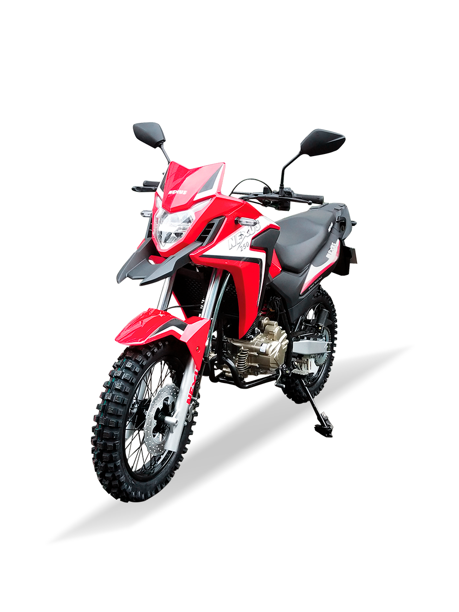250XR - Imagen 2