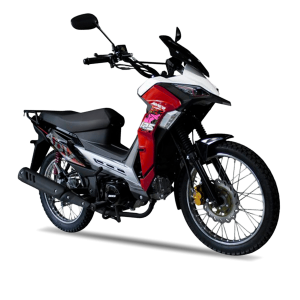 RC 125 ADV