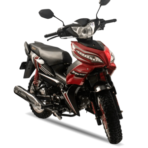 RC 110C