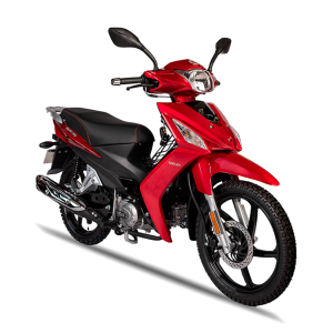 SL110-W9