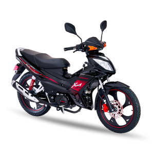 ZS110S