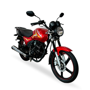 NUEVA CHAMBERA ZS150-A