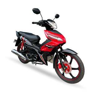 RC 110C