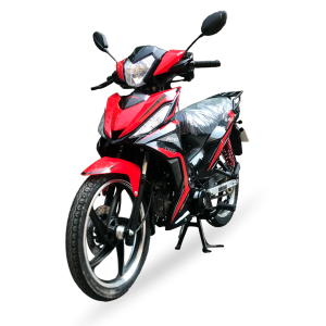 RC 110V