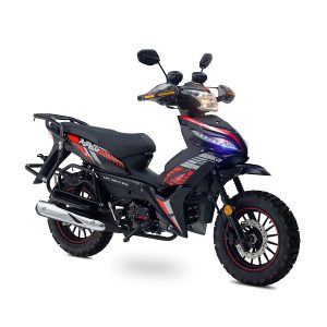LEO 125 RALLY