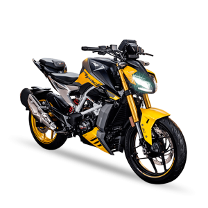 APACHE RTR 310