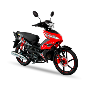 RC 110C1