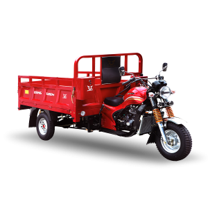 ZS-250CM