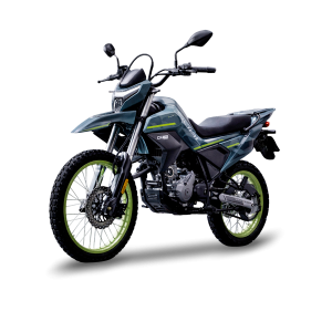 DUAL 250 EFI